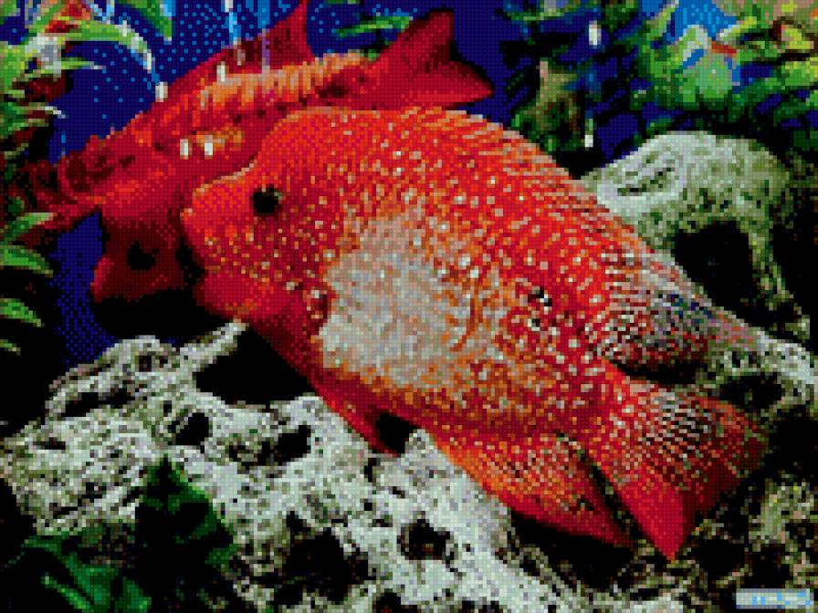 №695933 - предпросмотр