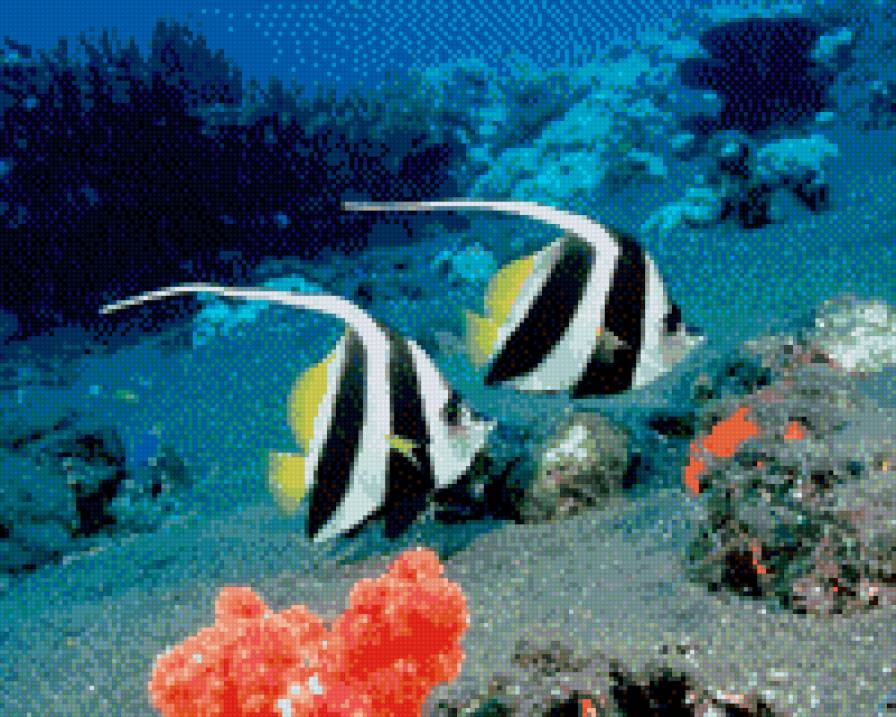 №695949 - предпросмотр