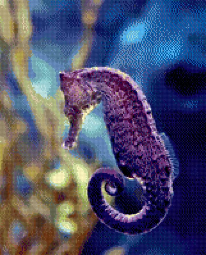 №695972 - предпросмотр