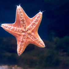 Схема вышивки «№695974»