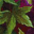 Предпросмотр схемы вышивки «Полевые цветы» (№696100)