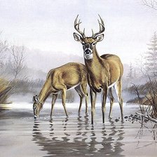 Схема вышивки «№696192»