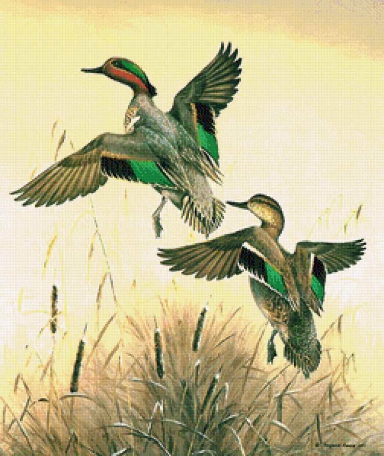 №696193 - предпросмотр