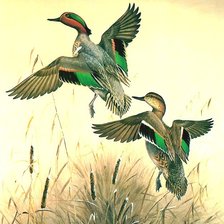 Схема вышивки «№696193»