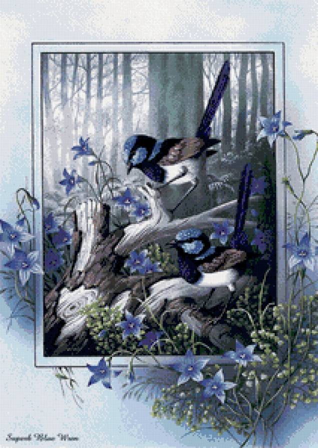 птицы - птицы - предпросмотр