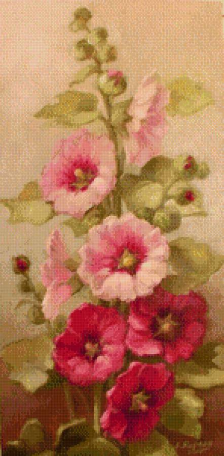 Мальвы - мальвы, цветы - предпросмотр