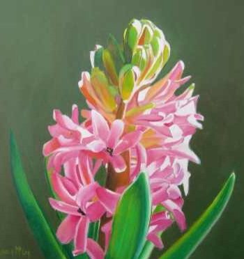 Гиацинт - гиацинт - оригинал