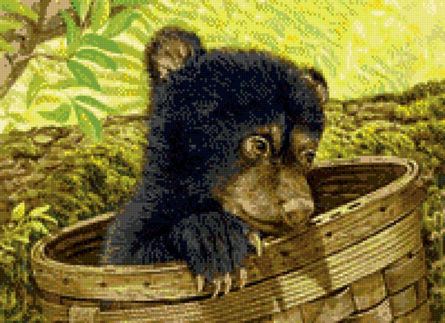 медвежонок - животные, медведи, природа - предпросмотр