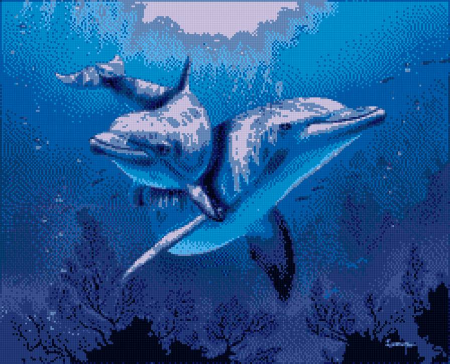 ltk - дельфин - предпросмотр