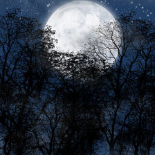 Схема вышивки «№696424»