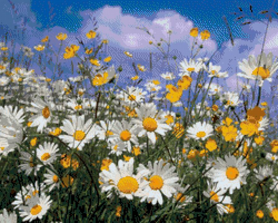 №696460 - предпросмотр