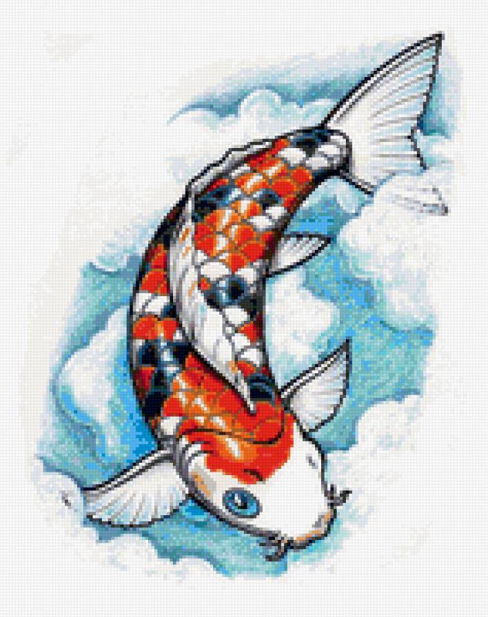 Карп - рыбка, кои, карп кои - предпросмотр