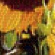 Предпросмотр схемы вышивки «натюрморт с подсолнухом» (№696767)
