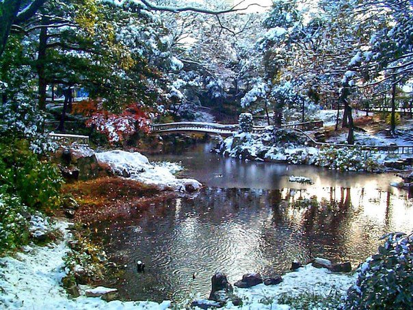 Японский сад - сад, япония, вода, зима - оригинал