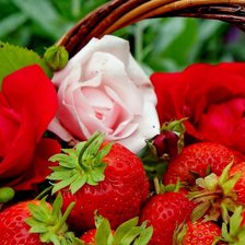 Схема вышивки «Клубничка»