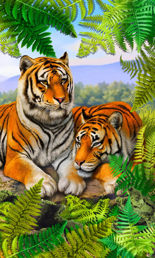 семейство - тигры, семья - оригинал