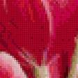 Предпросмотр схемы вышивки «тюльпаны» (№696975)