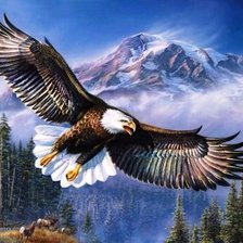 Оригинал схемы вышивки «№696988»