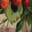 Предпросмотр схемы вышивки «серия "букеты"» (№697042)
