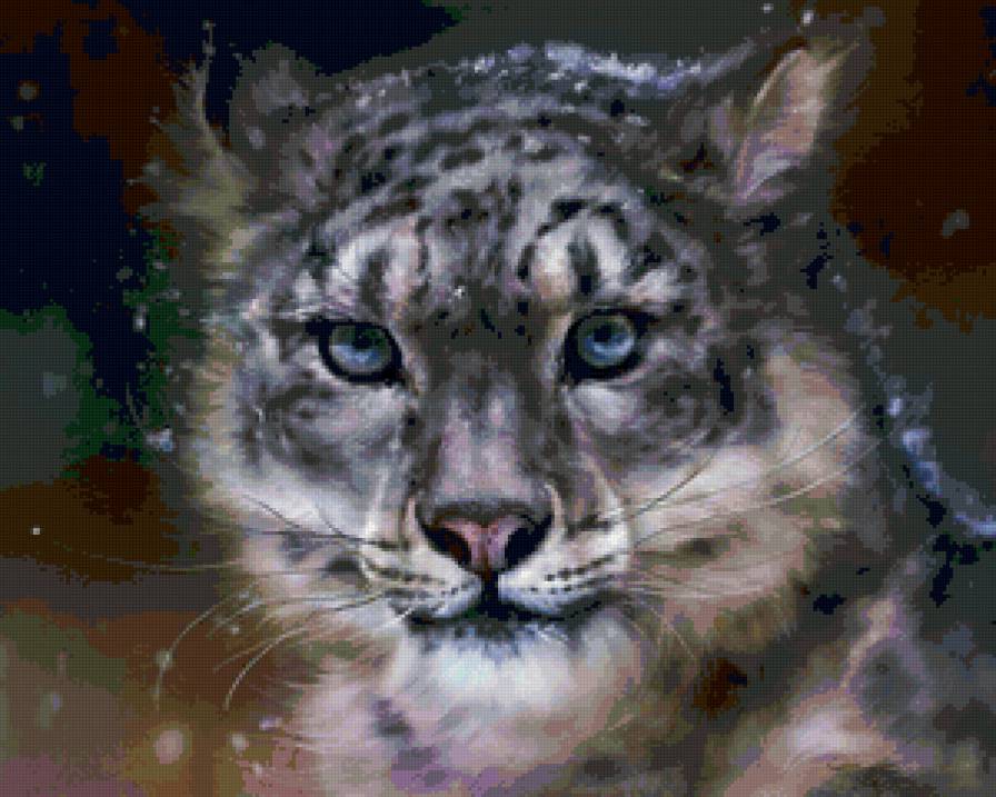 Взгляд хищника - животные, дикие кошки, хищник - предпросмотр