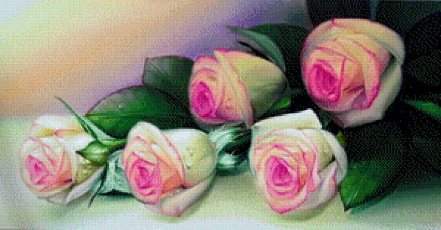 №697226 - предпросмотр