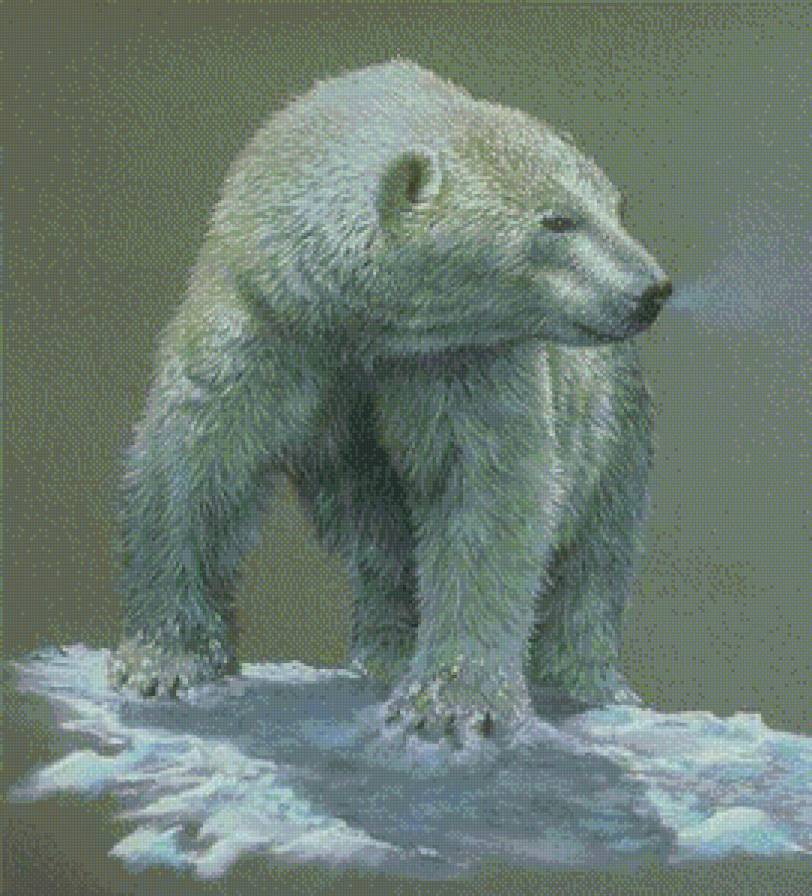 Белый медведь - хищники, дикие животные, белый медведь - предпросмотр