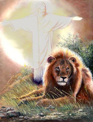 Лев - дикие животные, лев, хищники - оригинал