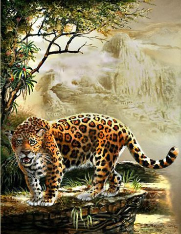 Леопард - хищники, дикие животные, леопард - оригинал