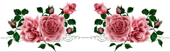 розы - розы, цветы - оригинал