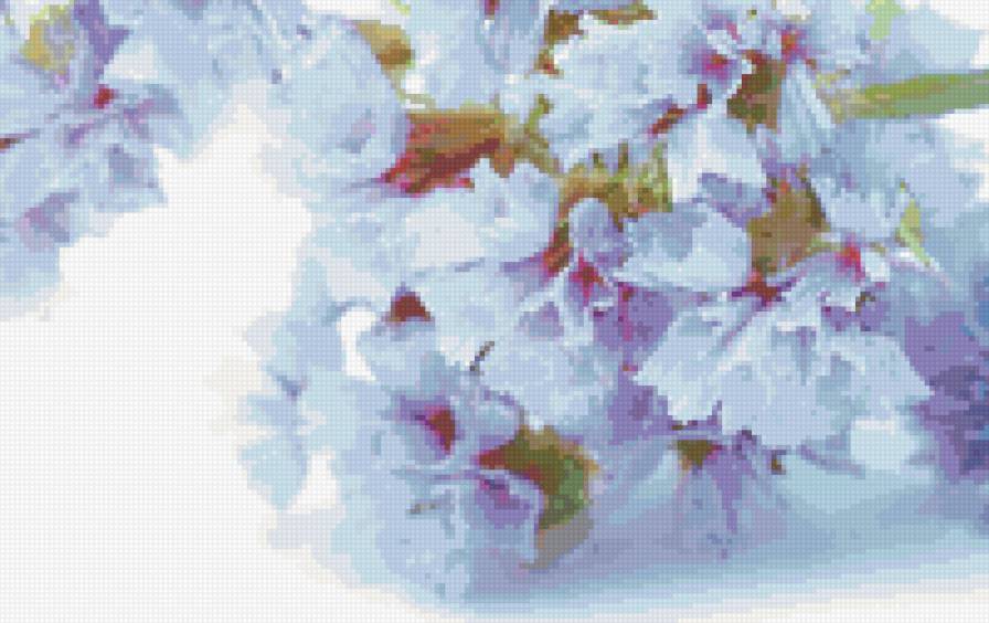 №697414 - цветы - предпросмотр