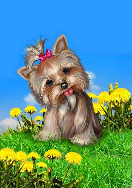 милый щеночек - животные, собака, щенок, собачка, собачки - оригинал