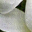 Предпросмотр схемы вышивки «Лилии» (№697818)