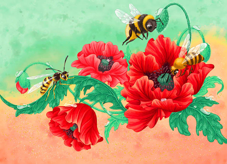маки - цветы, мак, пчелы, насекомые, полевые цветы - оригинал