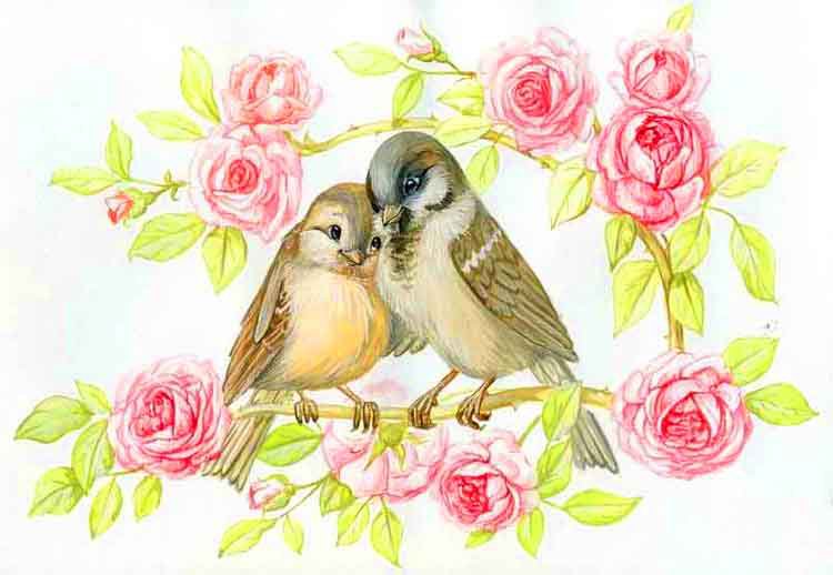 воробушки - любовь, нежность, птицы, воробей, птички - оригинал