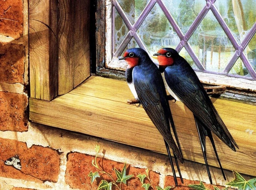 ласточки - природа, картина, птицы, пейзаж - оригинал