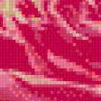 Предпросмотр схемы вышивки «Роза» (№697990)