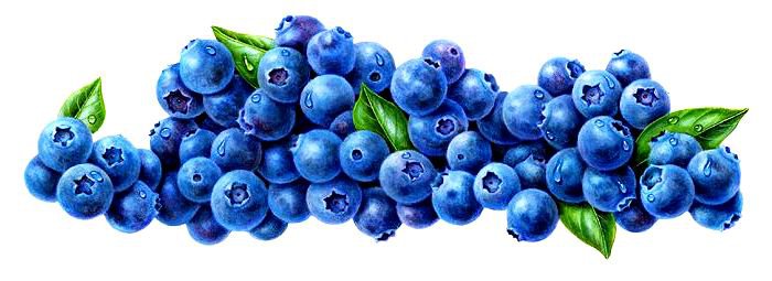 Черника - ягоды, на кухню, ягода - оригинал