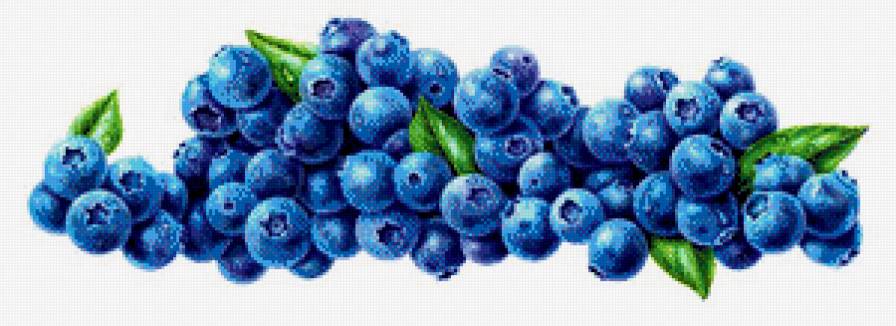 Черника - ягоды, ягода, на кухню - предпросмотр