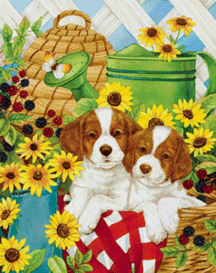 2542 - предпросмотр