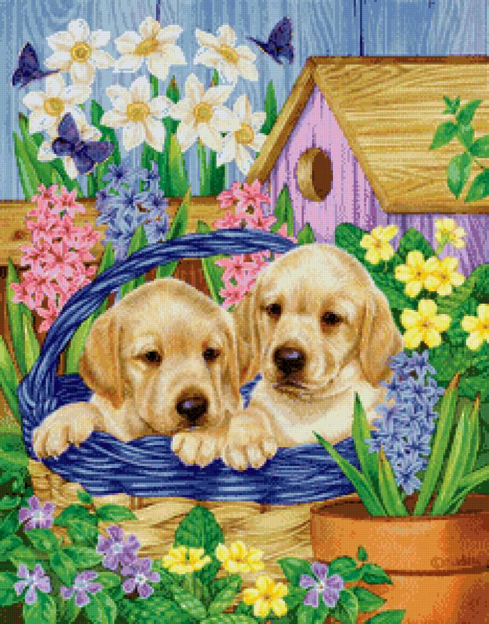 2543 - предпросмотр