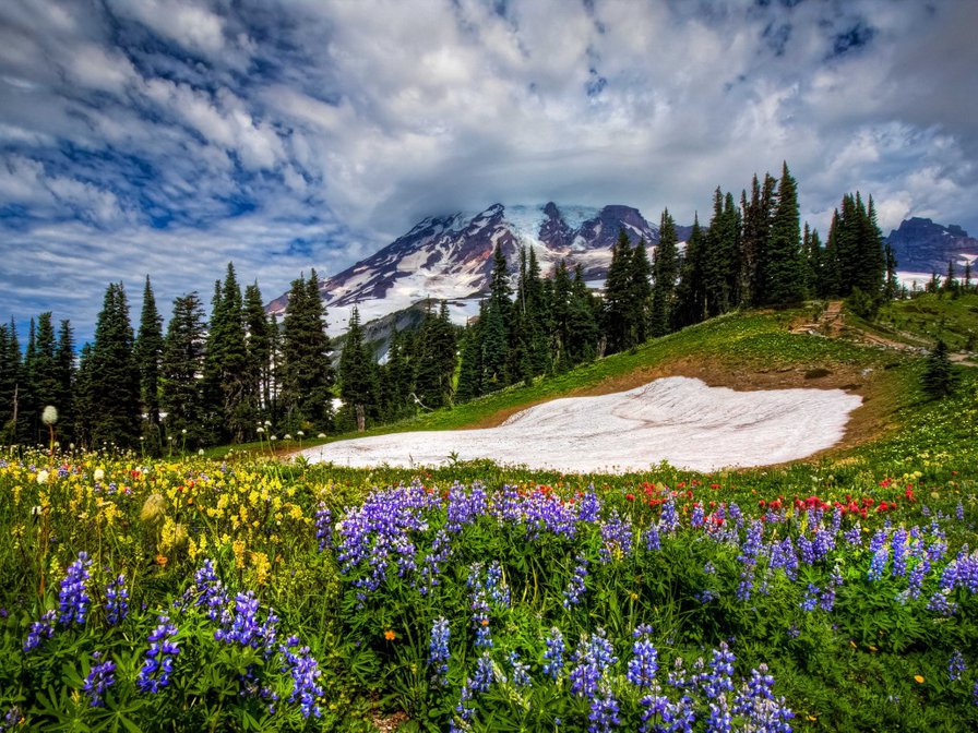 №698145 - оригинал