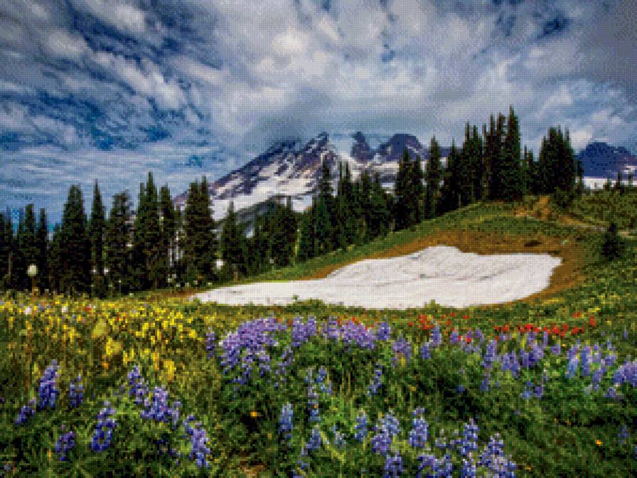 №698145 - предпросмотр