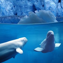 Схема вышивки «№698282»