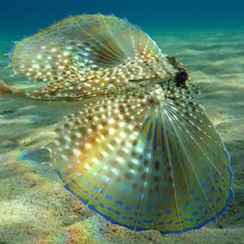 Схема вышивки «№698285»