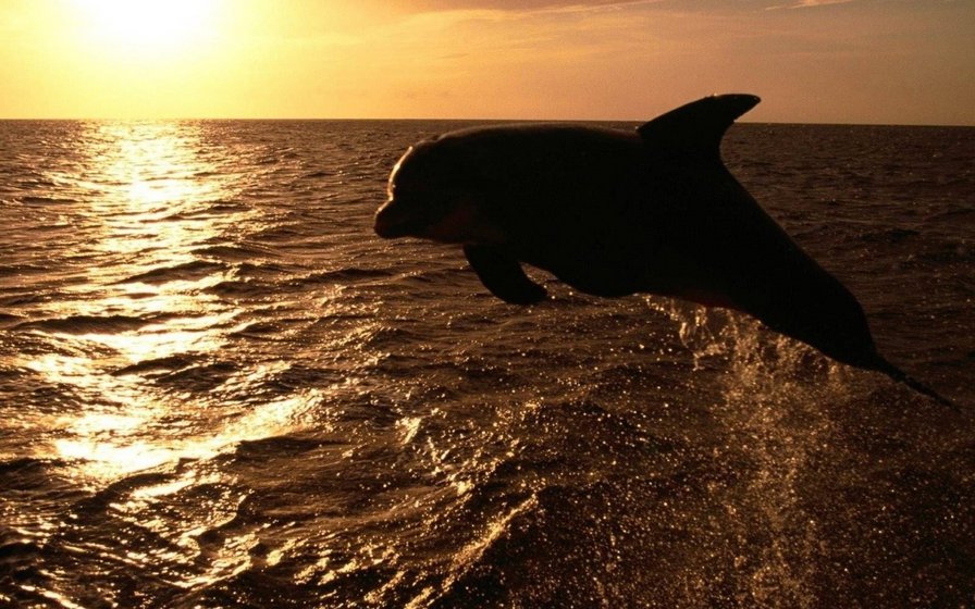 №698320 - оригинал