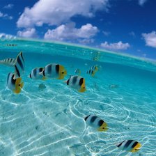 Схема вышивки «№698323»