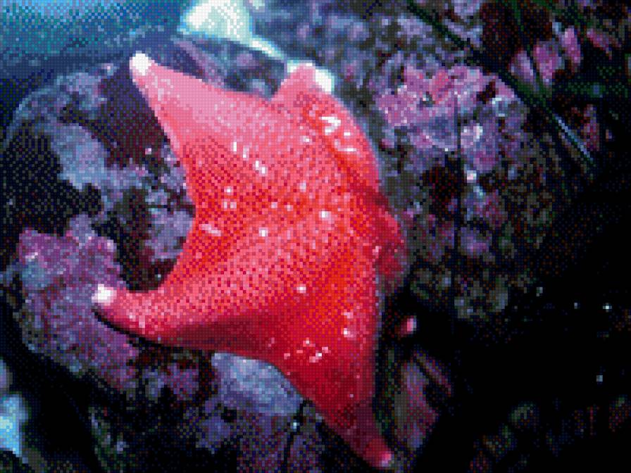 №698326 - предпросмотр