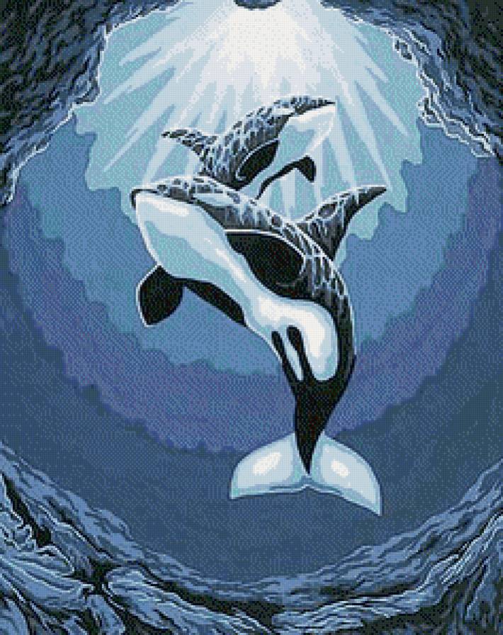 №698482 - рыбы - предпросмотр