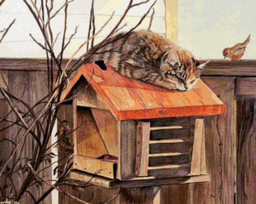 новый жилец - котики, кот, коты - предпросмотр