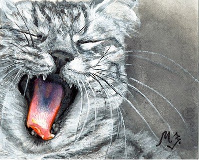 Графика Марии Зельдес - кот, эмоции, животные - оригинал
